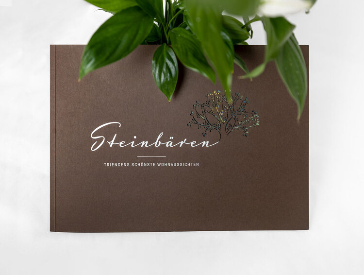 Broschüre und Website
