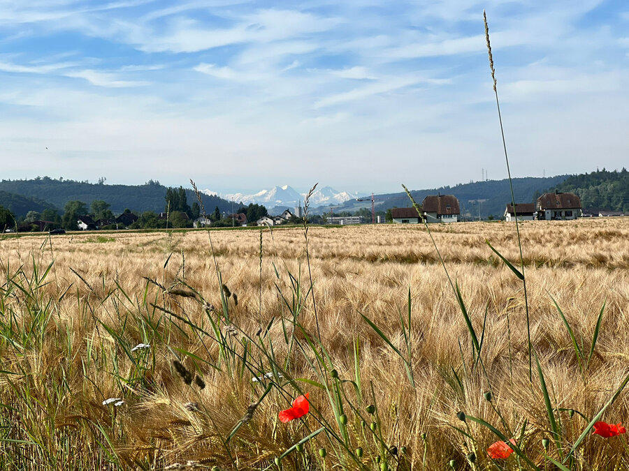 Altersheim Muhen Bilder