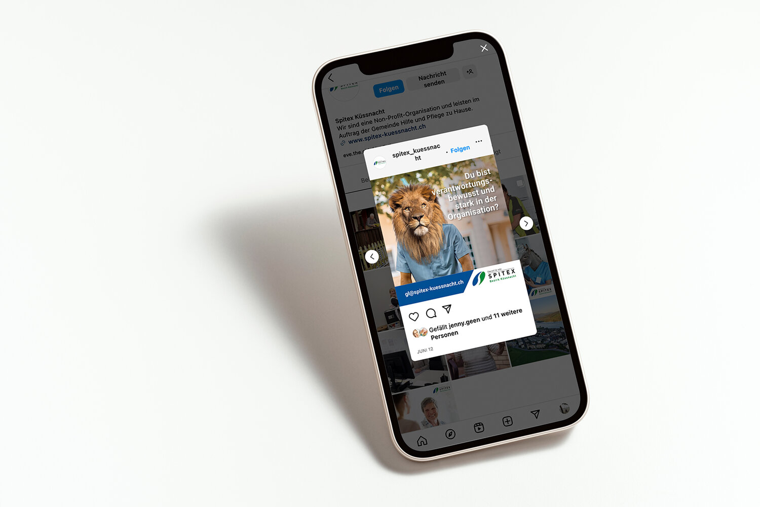 Social Media Spitex