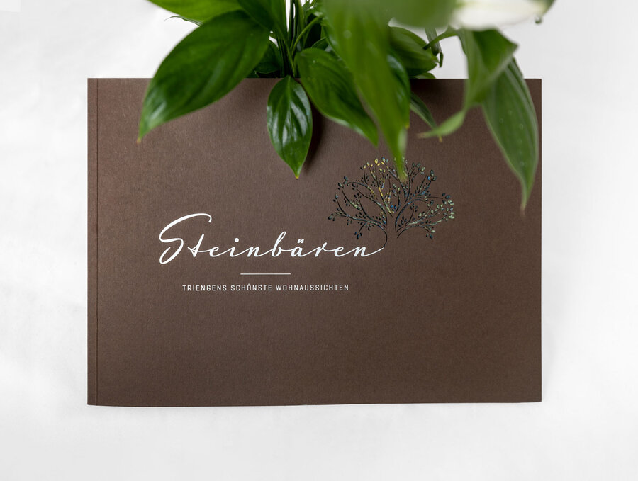 Steinbären Bilder oben (Blickwinkel)