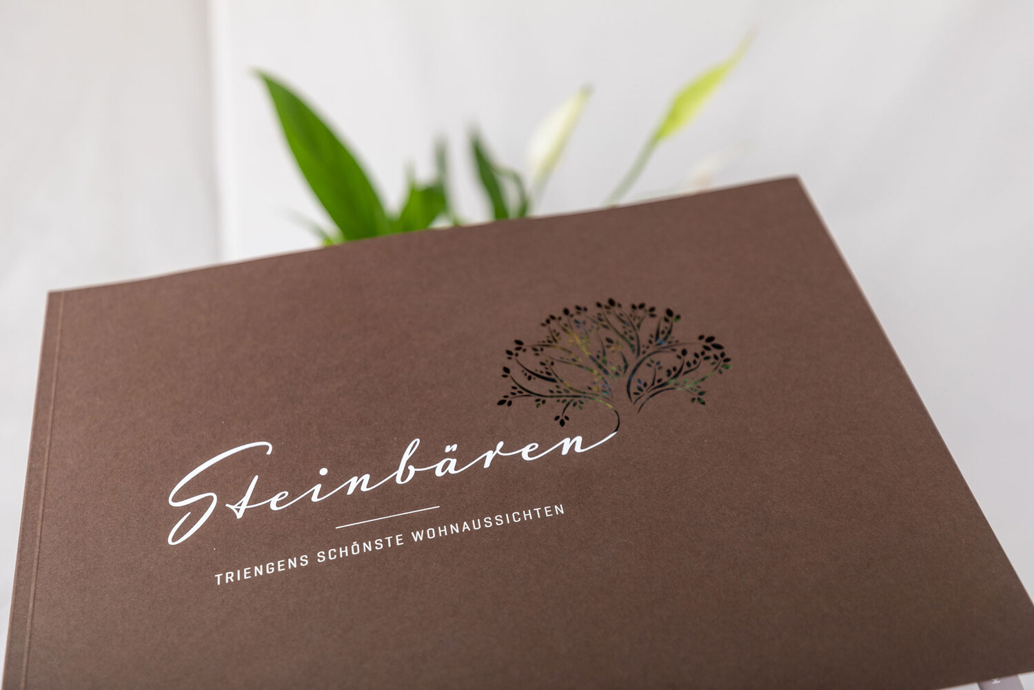Steinbären