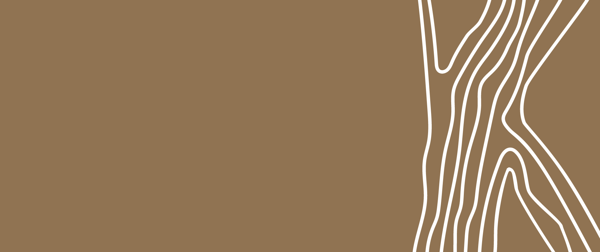 Template-Website Kibako