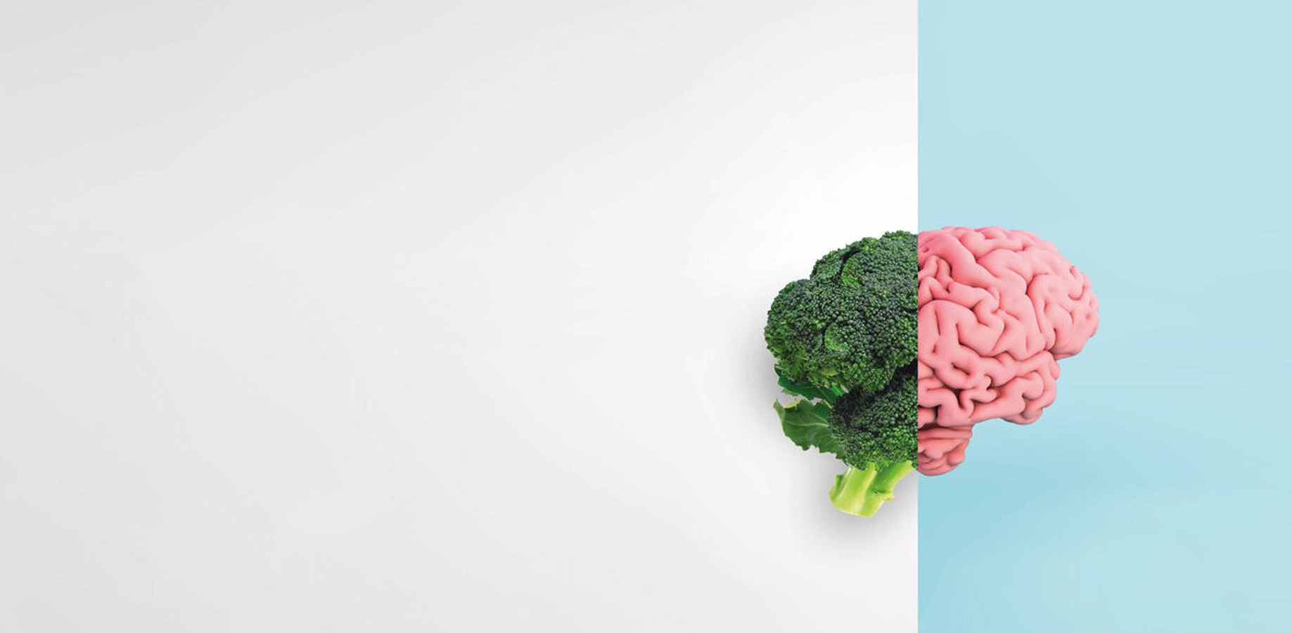 Nachwuchsf&ouml;rderung