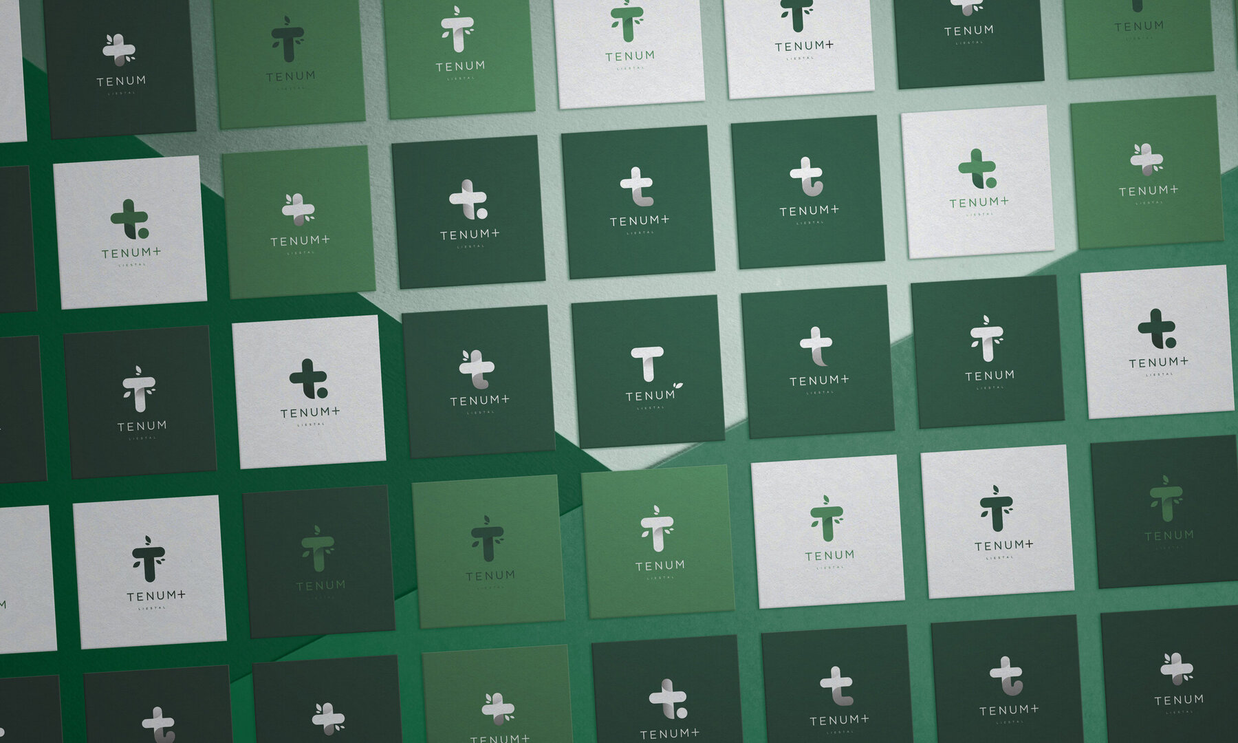 Branding Agentur Luzern